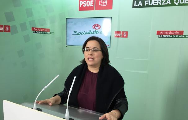 El PSOE de Palos solicita un pleno extraordinario para pedir "medidas que garanticen la transparencia"