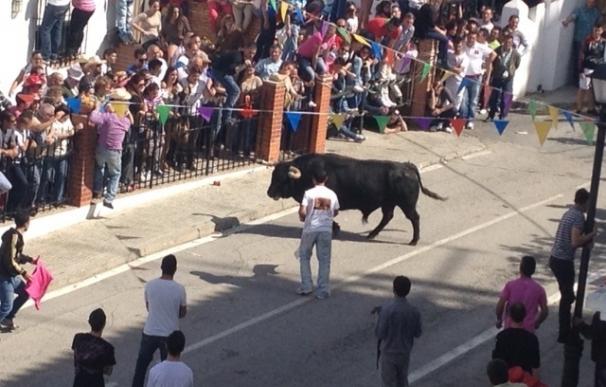 Concluyen las fiestas de los toros en la provincia con dos heridos "leves" en Arcos y Paterna