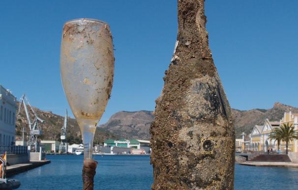 Una botella de plástico puede durar más de 450 años en el mar. Descubre lo que podemos hacer para ayudar al planeta