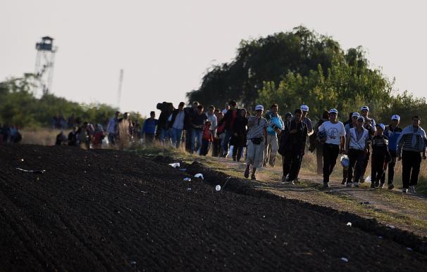 Varios migrantes caminan hacia la frontera entre Serbia y Hungría
