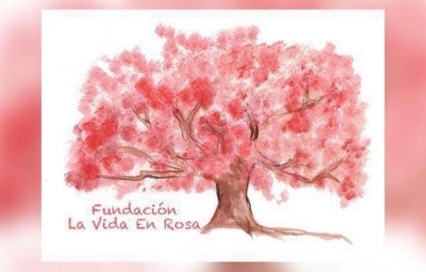 Nace la Fundación la Vida en Rosa, una iniciativa que dará apoyo físico, emocional e intelectual a mujeres con cáncer