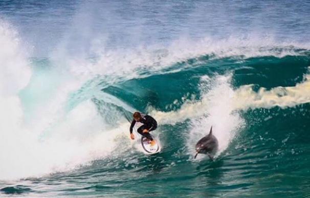 Soli Bailey comparte ola con un delfín.