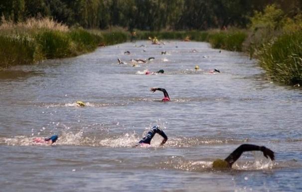 Un centenar de nadadores se dará cita en el Canal de Castilla, en Frómista, en el II Circuito de Travesías a Nado