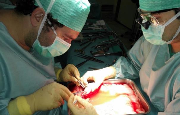 Más de 300 urólogos españoles comparten una videoconferencia de un trasplante realizado en el Regional