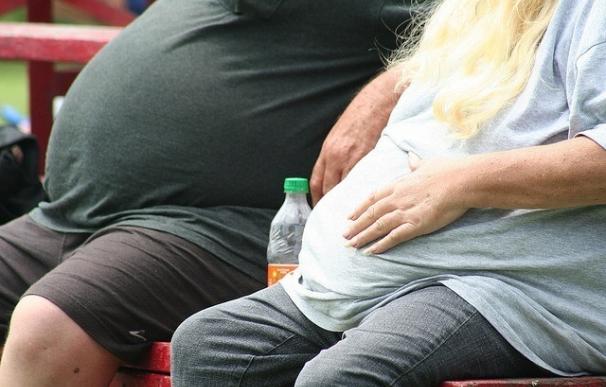Investigadores españoles hallan altos niveles de unas proteínas que protegen de la muerte a células de grasa en obesos