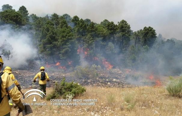 El incendio ya controlado de la Sierra de Segura afecta a dos hectáreas y la causa apunta a un rayo