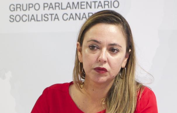 El PSOE pide al futuro Gobierno la derogación de la reforma local tras el fallo del TC