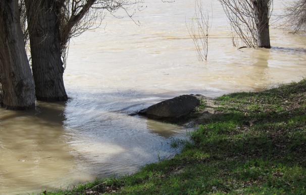Municipios afectados por las crecidas del Ebro piden que se realicen trabajos de mantenimiento en los cauces