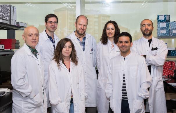 Científicos españoles hallan nuevas claves para el uso de la inmunoterapia contra el cáncer