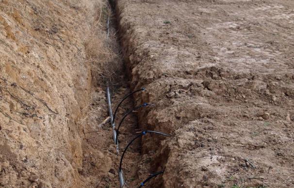 La CHE y el Canal de Aragón y Cataluña colaboran en una experimentación de riego por goteo subterráneo
