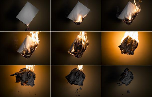 Decenas de fotógrafos arrancan los trabajos de 'El Diari Indultat', el primer fotolibro que arderá en la cremà