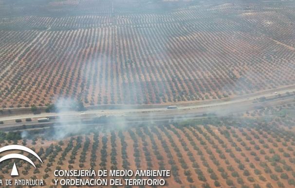 Extinguido el incendio declarado en un paraje de Carboneros, próximo a la A-4