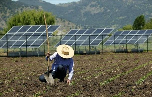 El sector agrícola tira de la nueva potencia fotovoltaica.