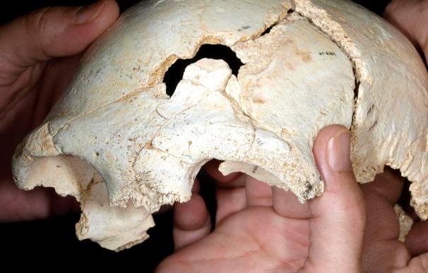 Hallazgos de Atapuerca permitirán reconstruir segundo cráneo de 500.000 años