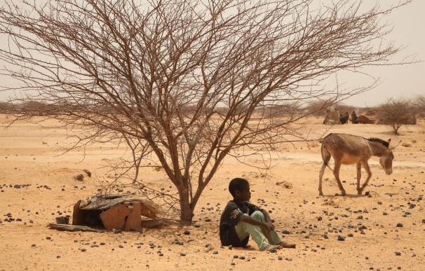 Plan International pide una respuesta urgente ante los efectos de El Niño en el Cuerno de África