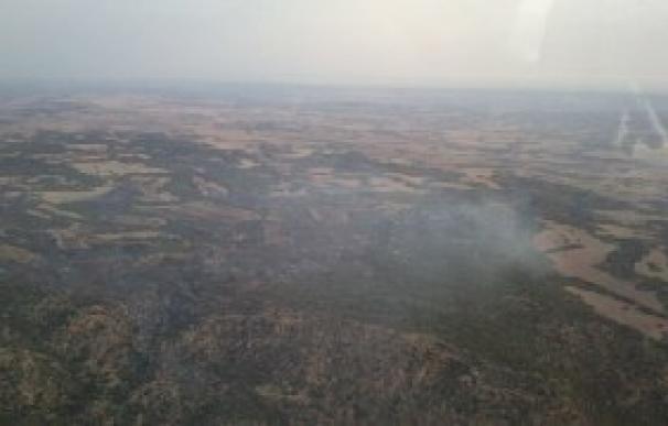 Un incendio quema más de 50 hectáreas de matorral, campos de cereal y pinar, en Samper de Calanda