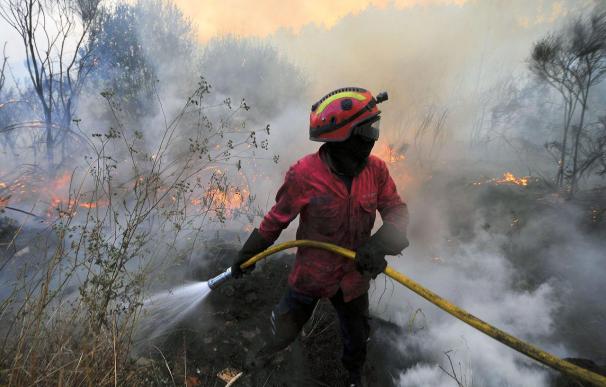 Un incendio en el norte de Portugal moviliza a más de 500 profesionales