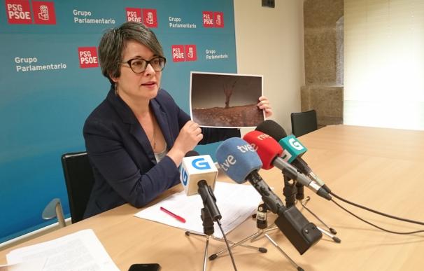 El PSOE exige a la Xunta activar "ya" un plan ante el cambio climático y por la sequía que "va a más" y ve "preocupante"