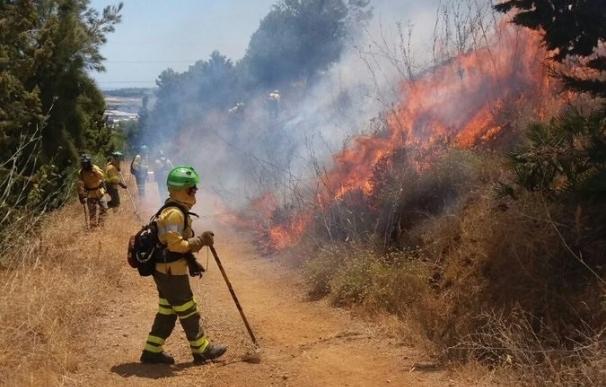Declarado un incendio forestal en los Asperones en Málaga capital