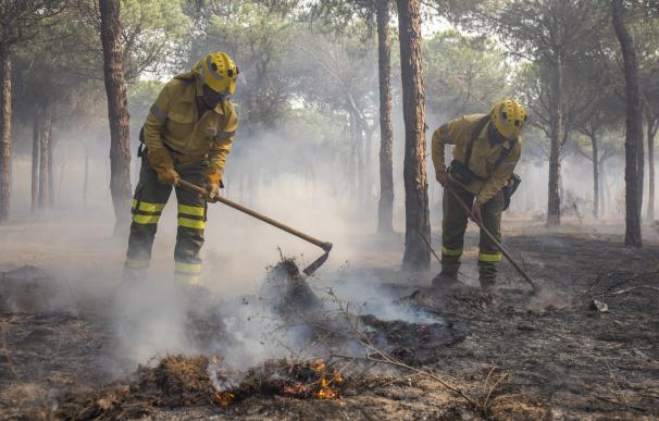 La zona afectada por el incendio de Moguer (Huelva) tardará 50 años en volver a su estado original, según un experto
