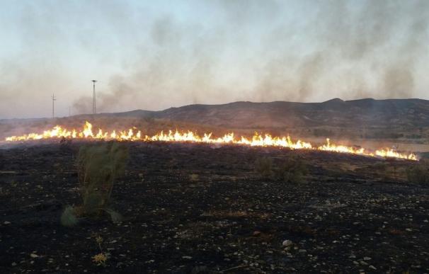 Declarado un incendio forestal en Antequera