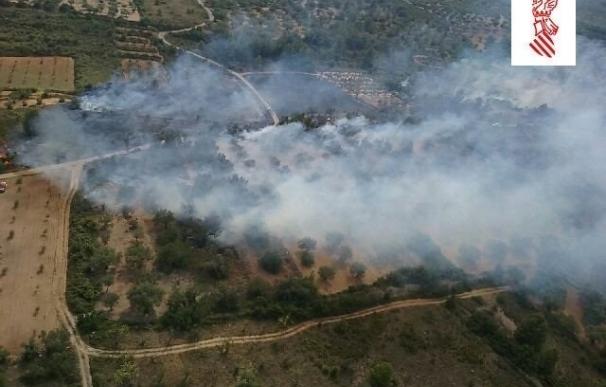 70 efectivos trabajan para apagar varios fuegos simultáneos en una zona de cultivo abandonado de Castellón