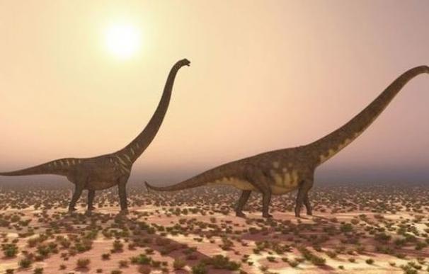 Hallan en China una nueva especie de dinosaurio con cuello largo y cresta