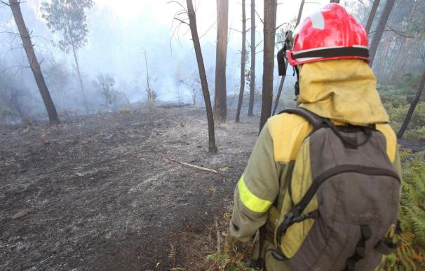Medio Rural da por extinguido el incendio de Laza que consumió 198 hectáreas