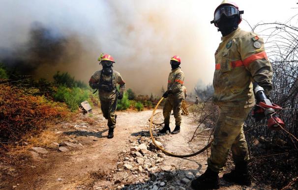 La policía portuguesa arresta a cuatro personas sospechosas de provocar incendios