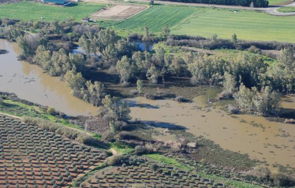 La CHG realiza vuelos sobre el río Guadiana en la provincia de Badajoz para identificar rodales existentes de camalote