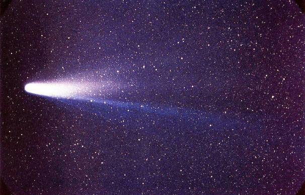 El cometa Halley / Imagen de Wikipedia