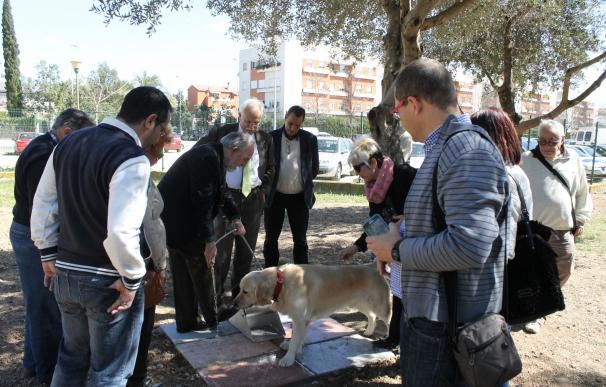 El Parque de Los Bermejales de Sevilla estrena una zona de esparcimiento canino de 6.500 metros cuadrados