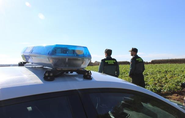 Detenidos cuatro hombres por robos en fincas agrícolas y establecimientos de Mallorca