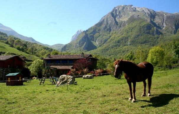 El PSOE pide medidas y presupuesto para proteger la ganadería y agricultura de montaña