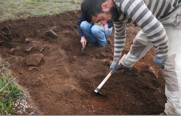 Comienzan las excavaciones en el campamento romano de El Cincho, en Cantabria