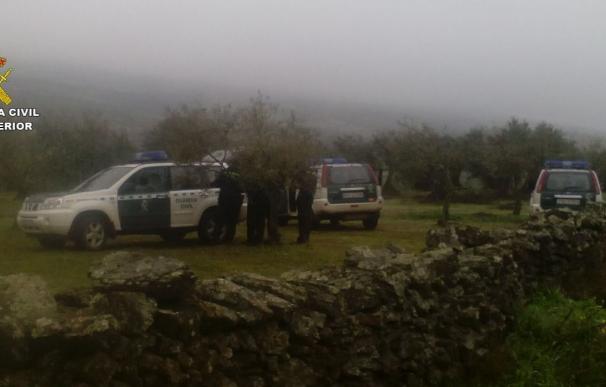 APAG Extremadura Asaja agradece la "extraordinaria labor" de la Guardia Civil en la "oleada de robos" de aceitunas