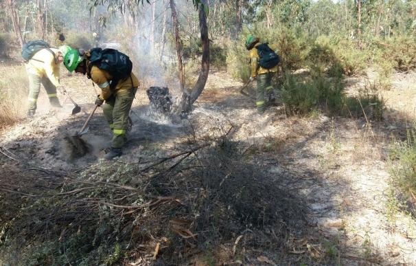 Extinguido el incendio forestal declarado este sábado en Bonares