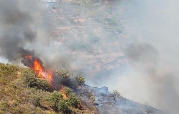 El alcalde de Aznalcóllar cree que los incendios podrían ser intencionados en espera de la investigación