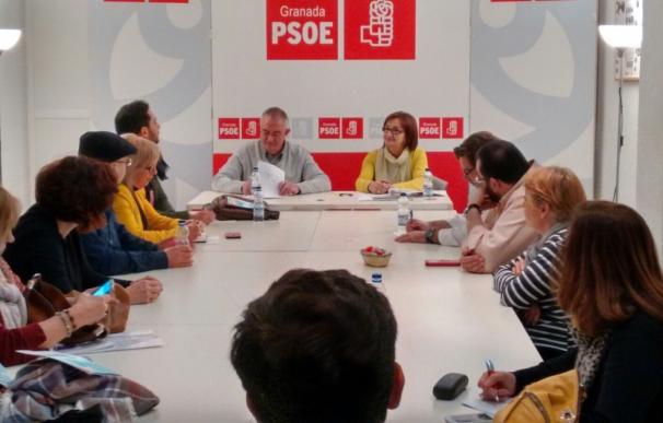 PSOE aborda unos presupuestos "participativos" y con "perspectiva de género" y critica el "inmovilismo" del PP
