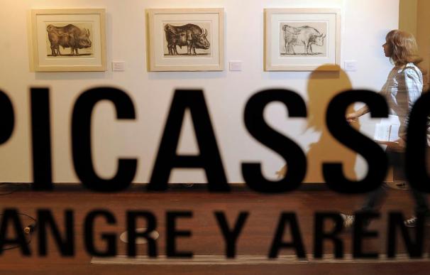 El Picasso más taurino sale por primera vez de su museo y llega a Salamanca