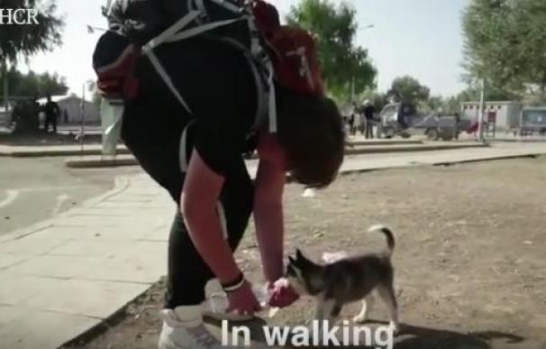 Un joven refugiados sirio recorre 500 km con su perro camino a Grecia