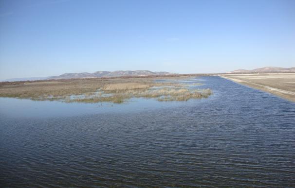Ayuntamiento de Alcázar se reúne con Junta y Ministerio de Agricultura para restaurar el humedal 'La junta de los ríos'