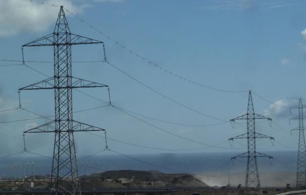 Red Eléctrica instala salvapájaros en un tendido eléctrico en Gran Canaria