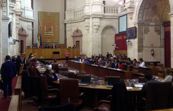 El Pleno del Parlamento aprueba la creación de un grupo de trabajo para reformar la Ley Electoral de Andalucía