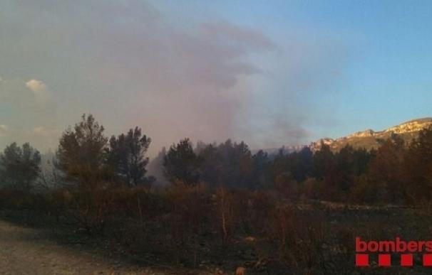 Un incendio forestal obliga confinar a vecinos de Miami Platja (Tarragona)