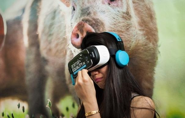 Madrileños podrán experimentar este sábado la "crueldad" de las granjas industriales con unas gafas de realidad virtual