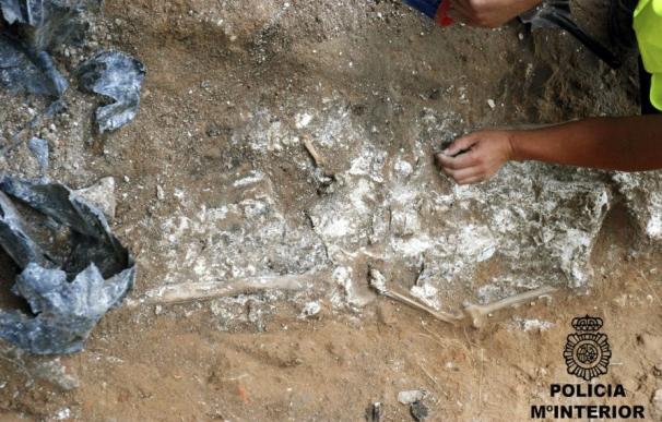 Descubren restos humanos del siglo V en Mérida