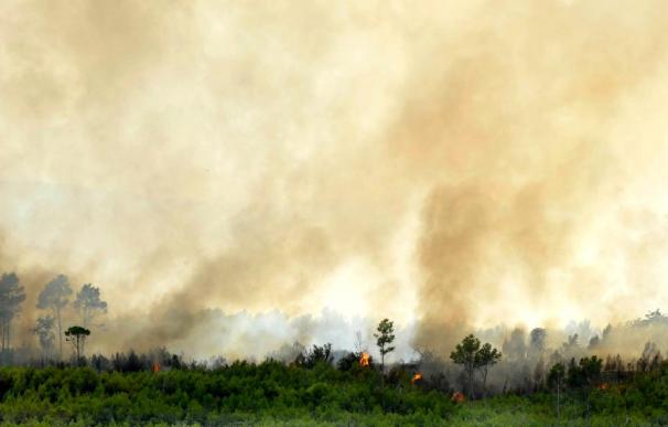 Controlado el incendio de Vilopriu que ha arrasado cien hectáreas