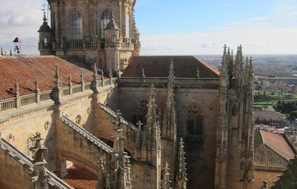 'Ieronimus' de Salamanca reabre sus puertas este fin de semana para las visitas nocturnas