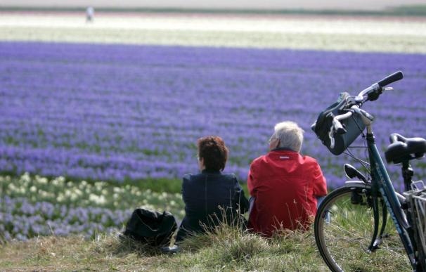 Dos jubilados hacen una parada para admirar un campo de tulipanes en Lisse (Holanda).